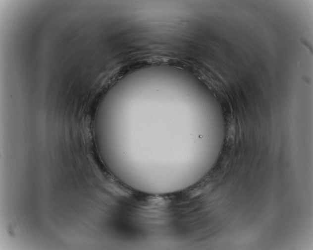 X0000096710616200802051039
