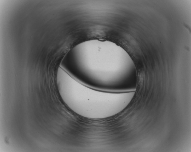 X0000096710617200802051039