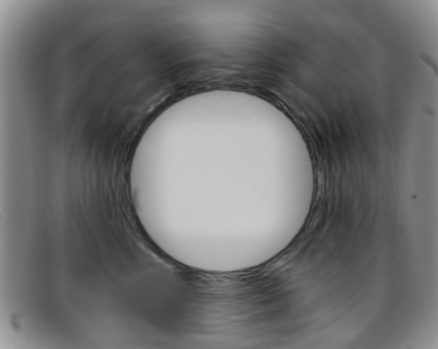 X0000096710618200802051039
