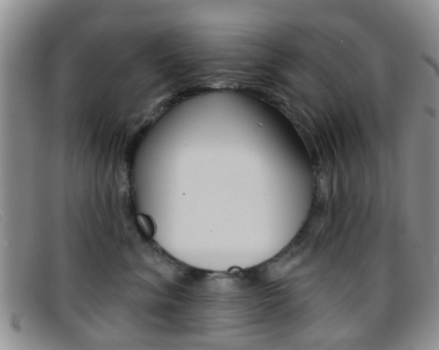 X0000096710620200802051039