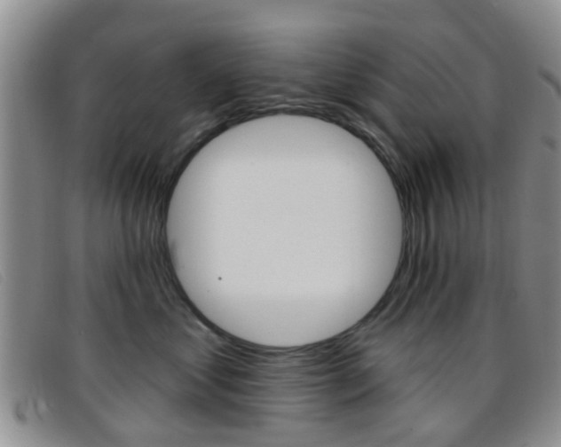 X0000096710621200802051039