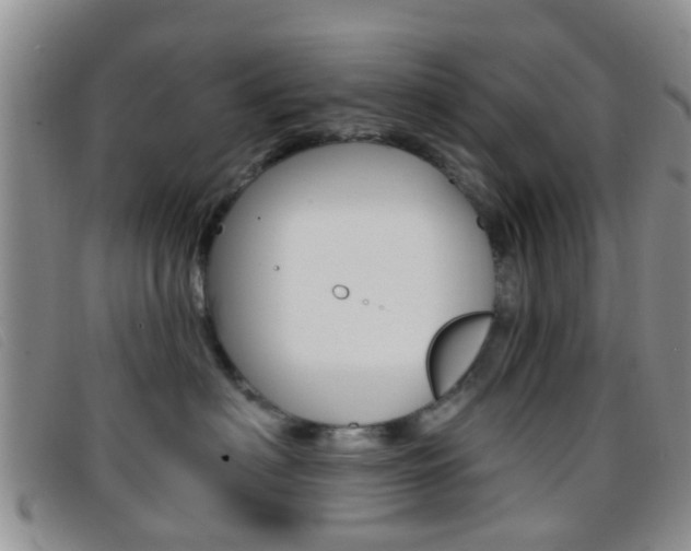 X0000096710622200802051039