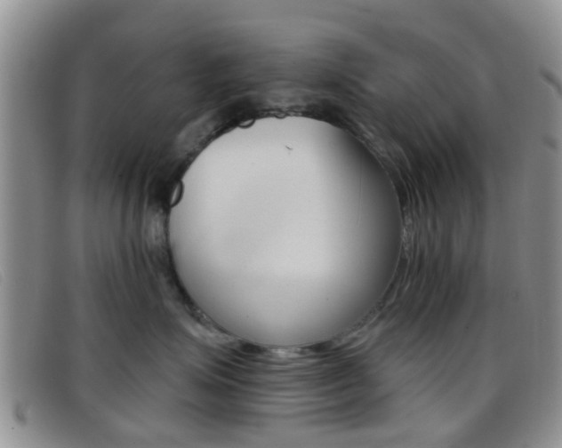 X0000096710623200802051039