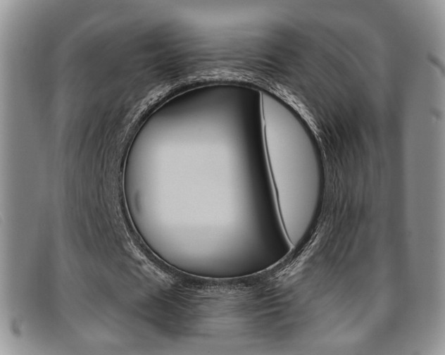 X0000096710625200802051038