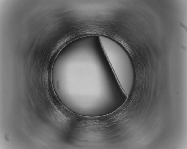 X0000096710626200802051038