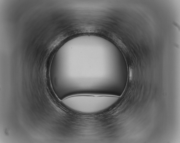 X0000096710627200802051038