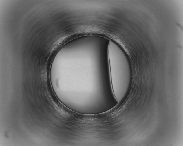 X0000096710629200802051038