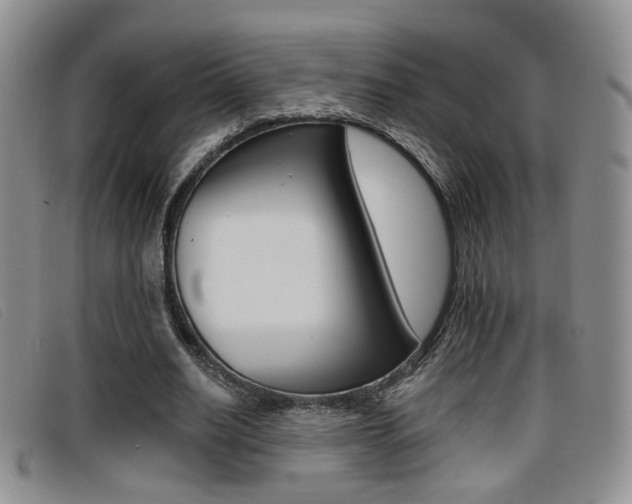 X0000096710630200802051038