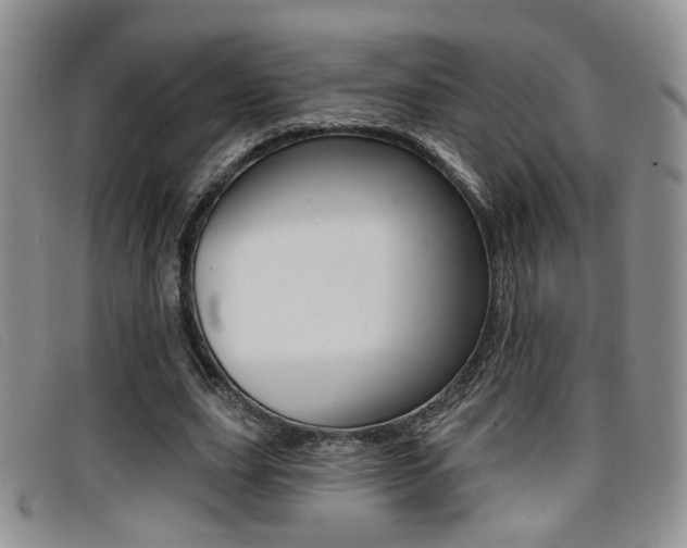 X0000096710631200802051038