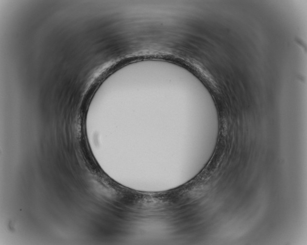X0000096710632200802051038