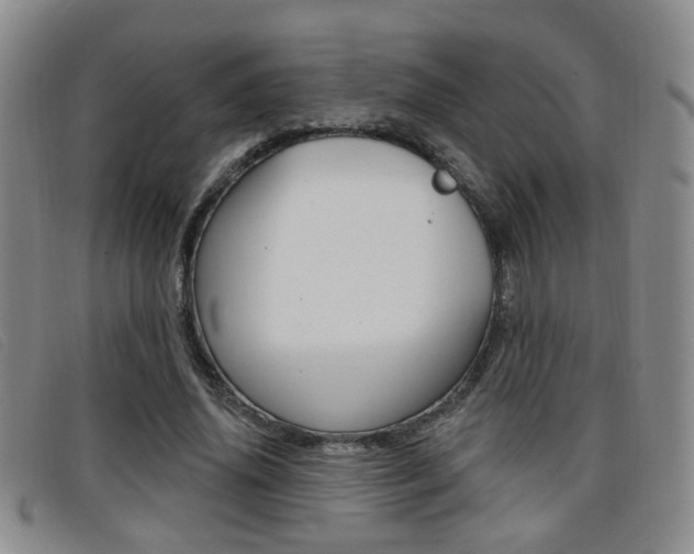 X0000096710636200802051038