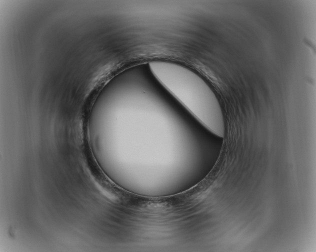 X0000096710638200802051038