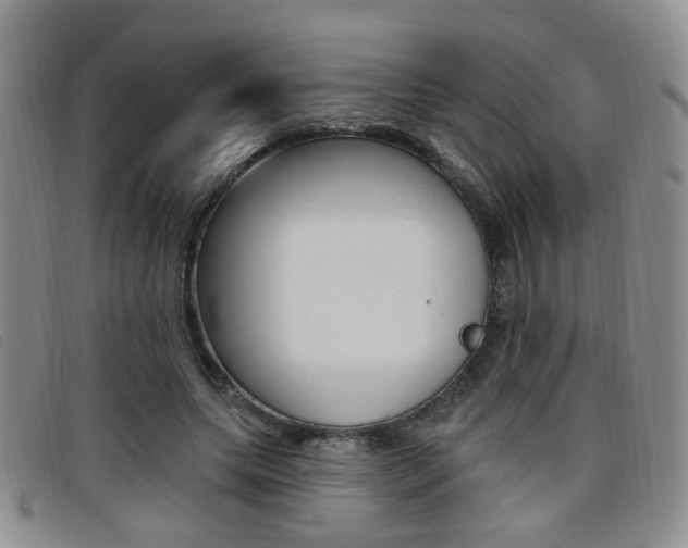 X0000096710639200802051038