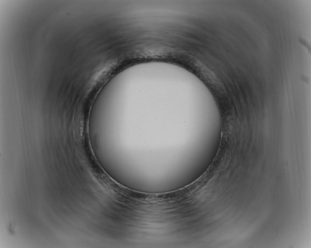 X0000096710640200802051038