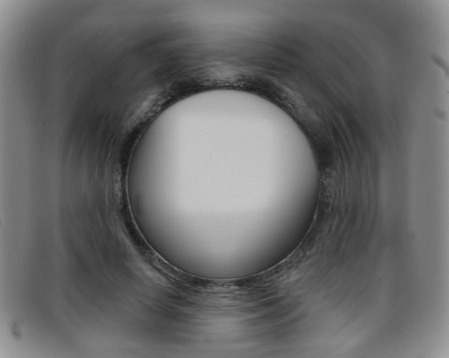 X0000096710642200802051038