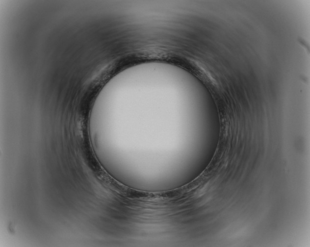 X0000096710643200802051038
