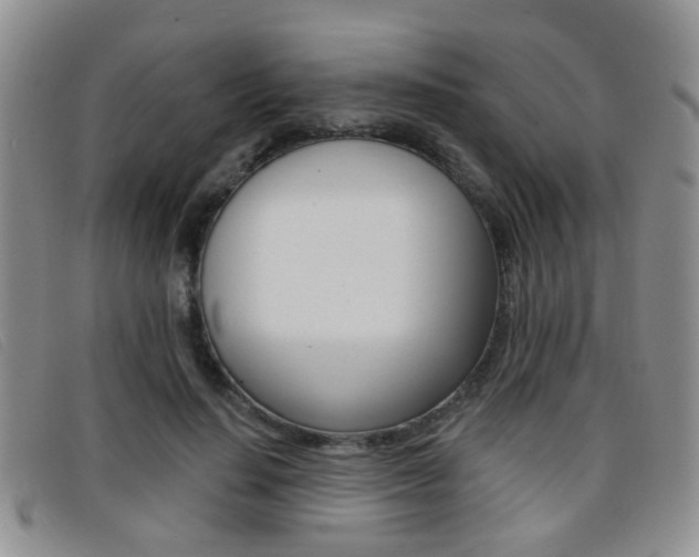 X0000096710644200802051038