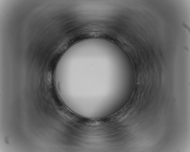 X0000096710646200802051038