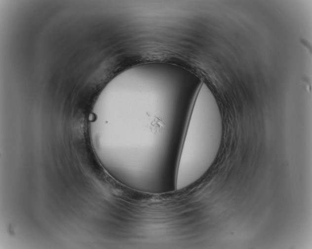 X0000096710647200802051038
