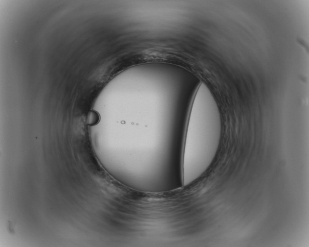 X0000096710649200802051038