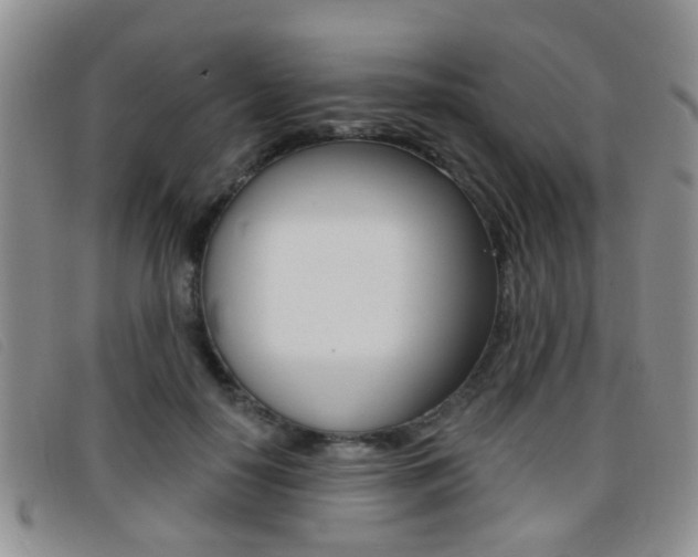 X0000096710650200802051038