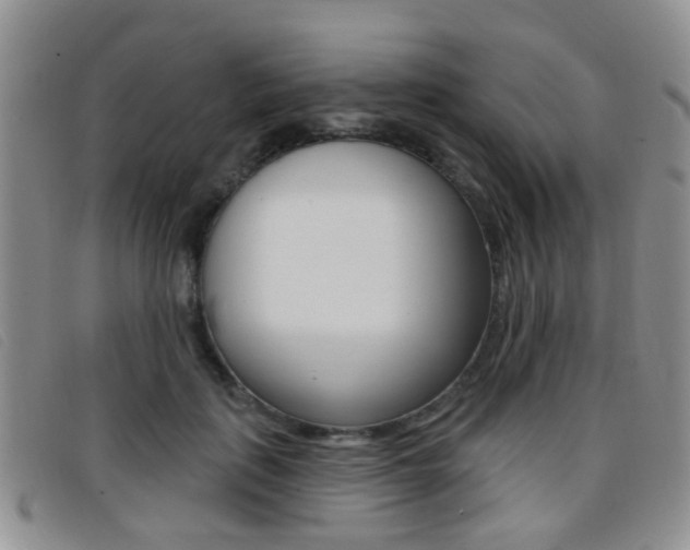 X0000096710651200802051038