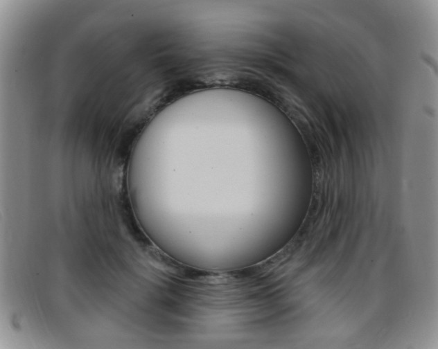 X0000096710652200802051038