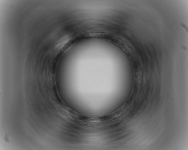 X0000096710653200802051038