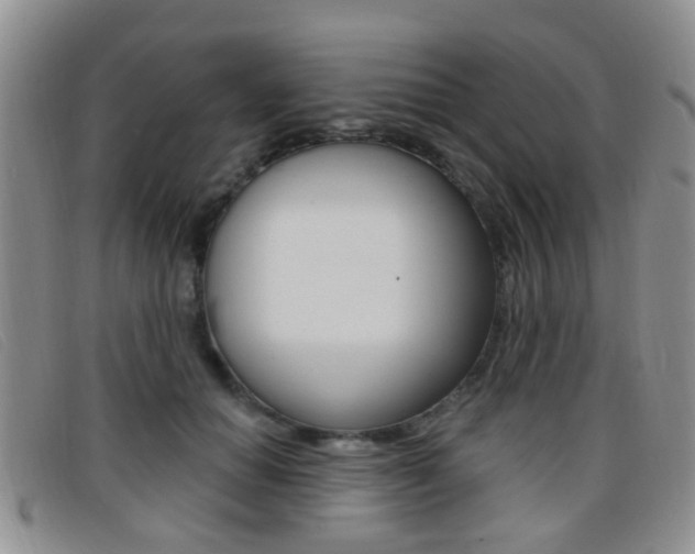 X0000096710654200802051038