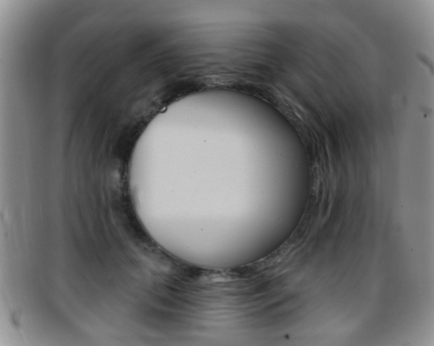 X0000096710655200802051038