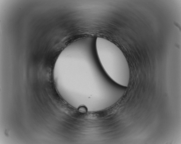 X0000096710656200802051038