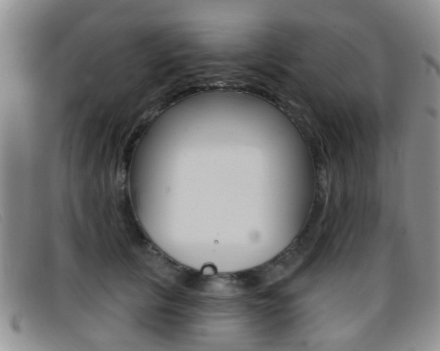 X0000096710657200802051038