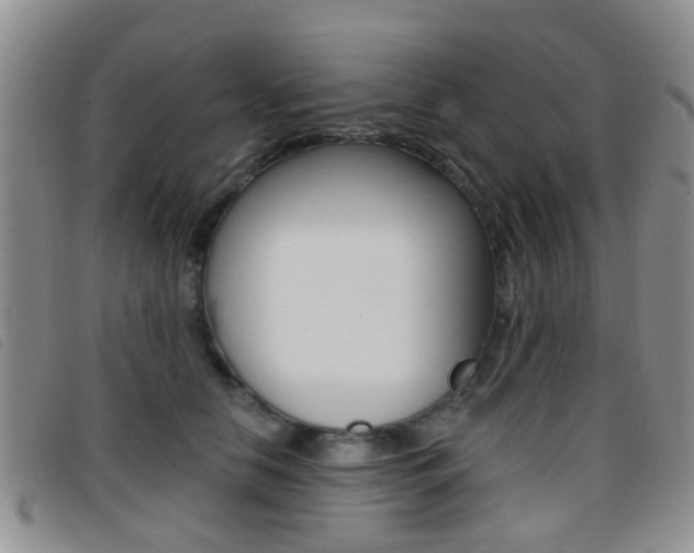 X0000096710658200802051038