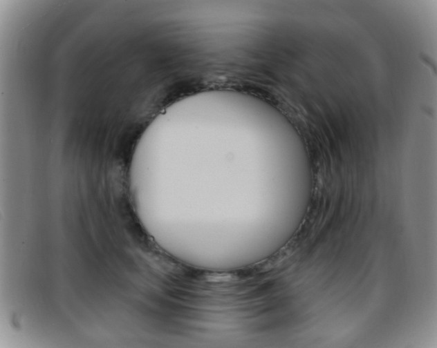 X0000096710659200802051038