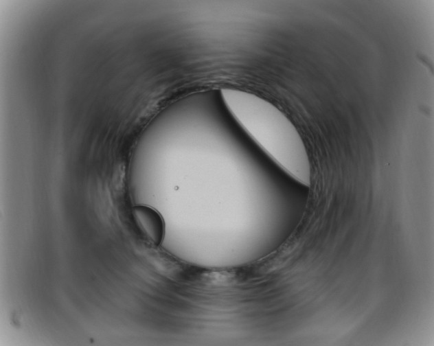 X0000096710660200802051038