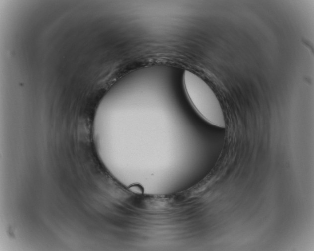 X0000096710661200802051038