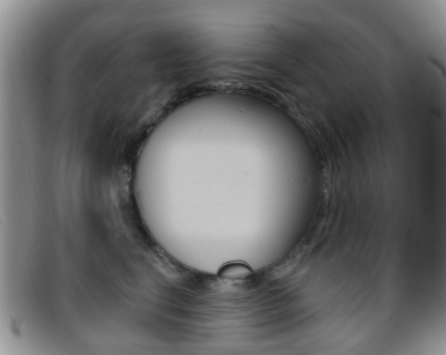 X0000096710664200802051039