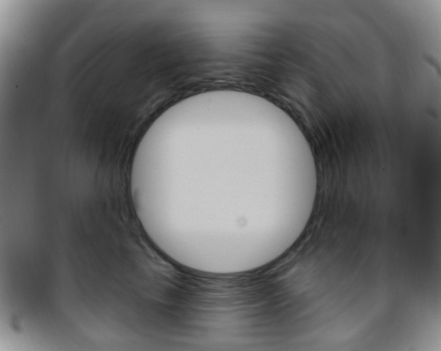 X0000096710665200802051039