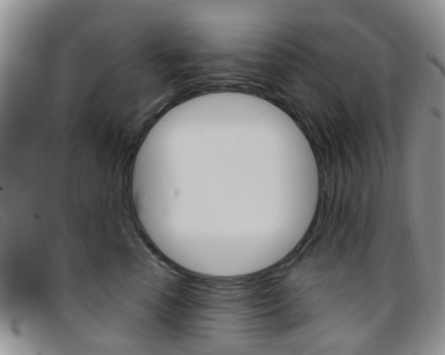 X0000096710666200802051039