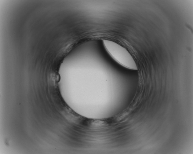 X0000096710669200802051039