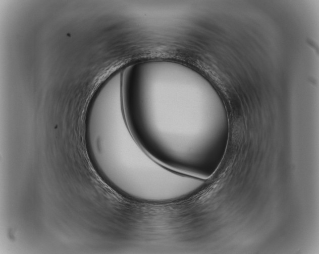 X0000096710673200802051038
