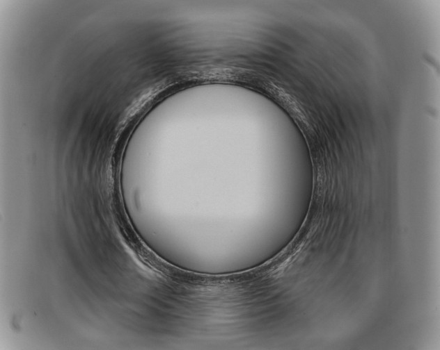 X0000096710674200802051038