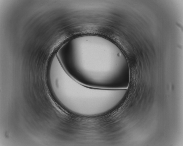 X0000096710677200802051038
