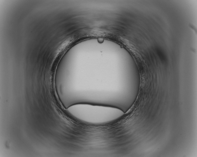 X0000096710679200802051038