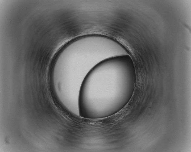 X0000096710680200802051038