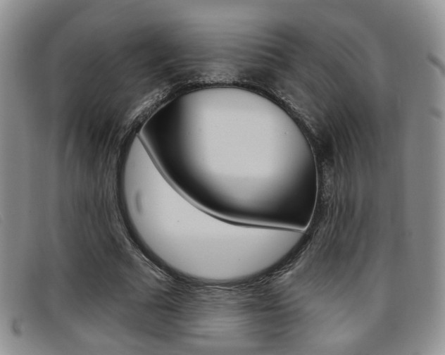 X0000096710681200802051038