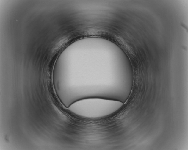X0000096710683200802051038