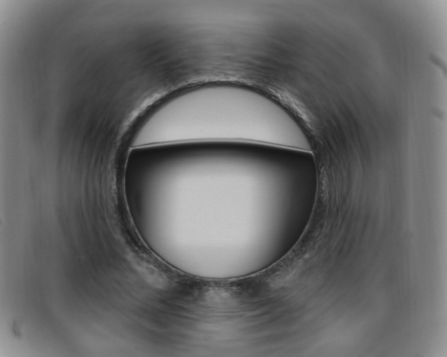 X0000096710684200802051038
