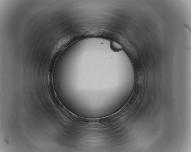 X0000096710685200802051038