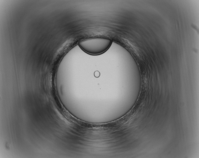 X0000096710686200802051038